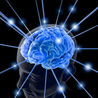 otak 9 Jenis Kecerdasan Manusia